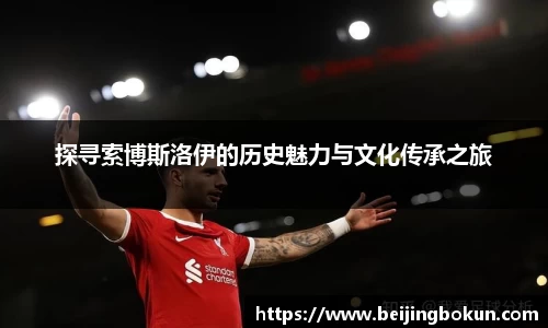 探寻索博斯洛伊的历史魅力与文化传承之旅